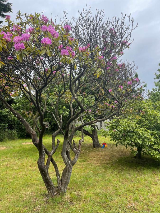 Hostal Das Hause Puerto Varas Eksteriør billede
